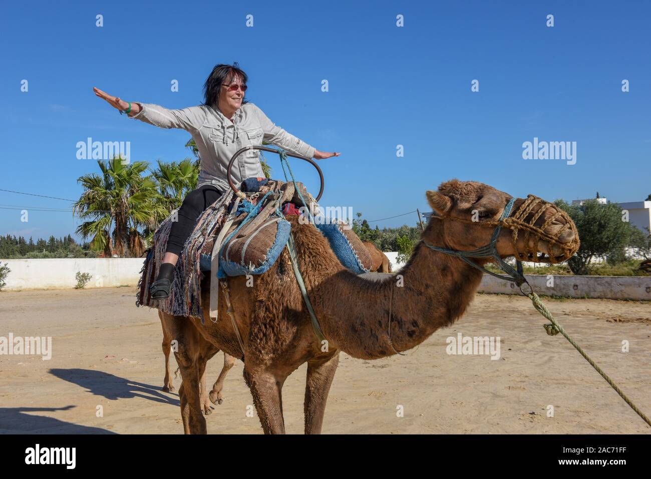 Sousse Tunisia 8 November 2019 Tourist On A Camel Caravan At Sousse In Tunisia Stock Photo Alamy