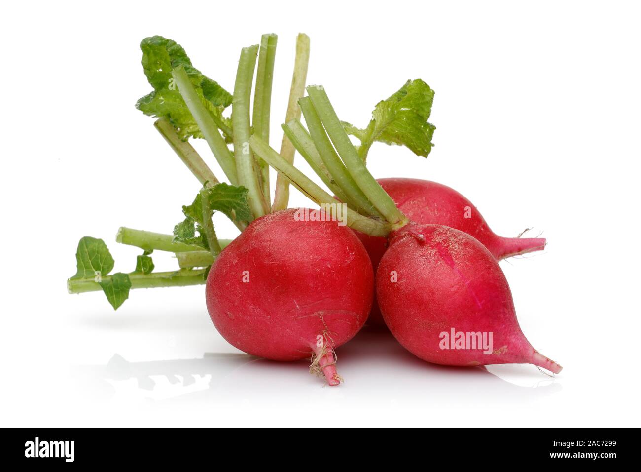 Whole red radish isolated on white background Stock Photo