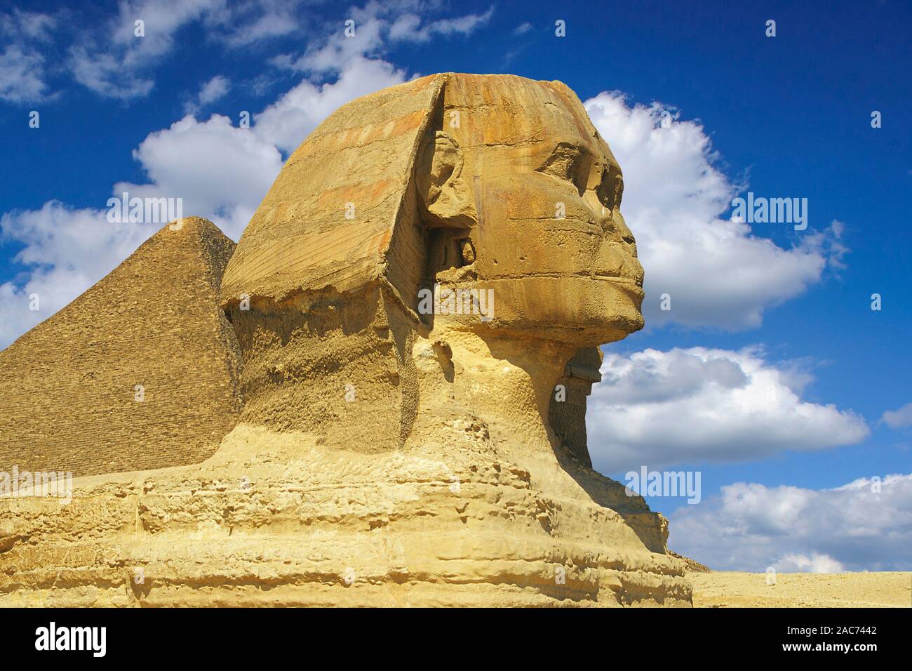 Sphinx in Aegypten, Kairo, Monument Stock Photo - Alamy