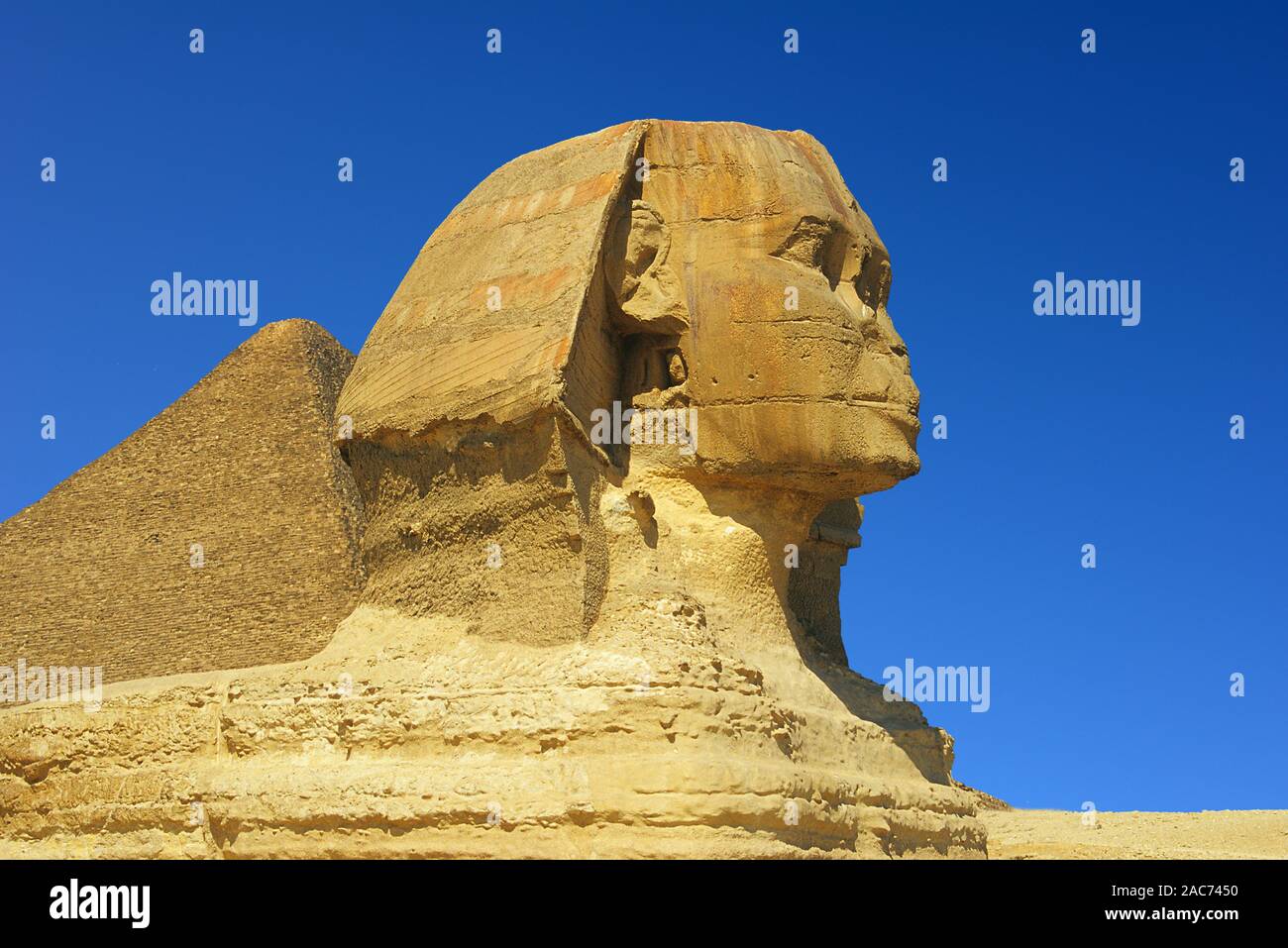 Sphinx in Aegypten, Kairo, Monument Stock Photo - Alamy