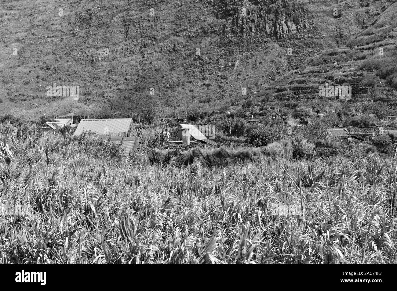 Rural village with thatched and stoned houses in a tropical place near