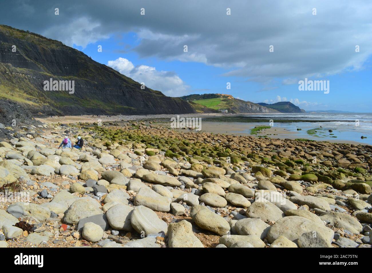 People hunting for fossils with a hammer on Charmouth Beach, West Beach, Charmouth, Dorset, UK Stock Photo