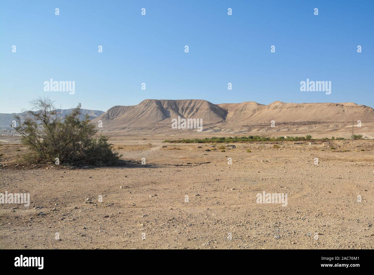 Judean desert in the east of Israel. Desert landscape of Israel at the end of autumn. Stock Photo