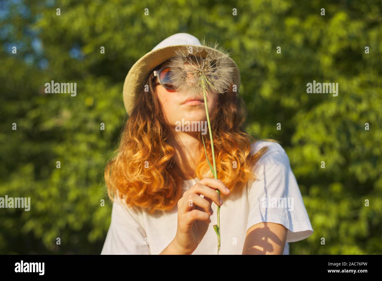 Summer outdoor portrait of romantic teenage girl in hat with big fluffy dandelion in nature, blowing on dry dandelion Stock Photo
