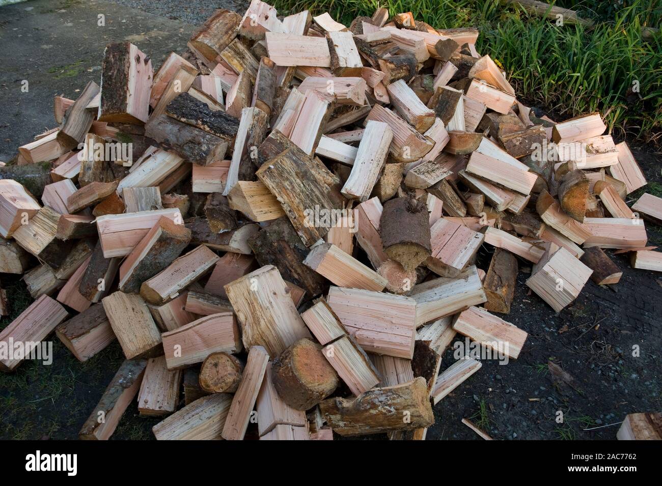 A pile of logs. Stock Photo