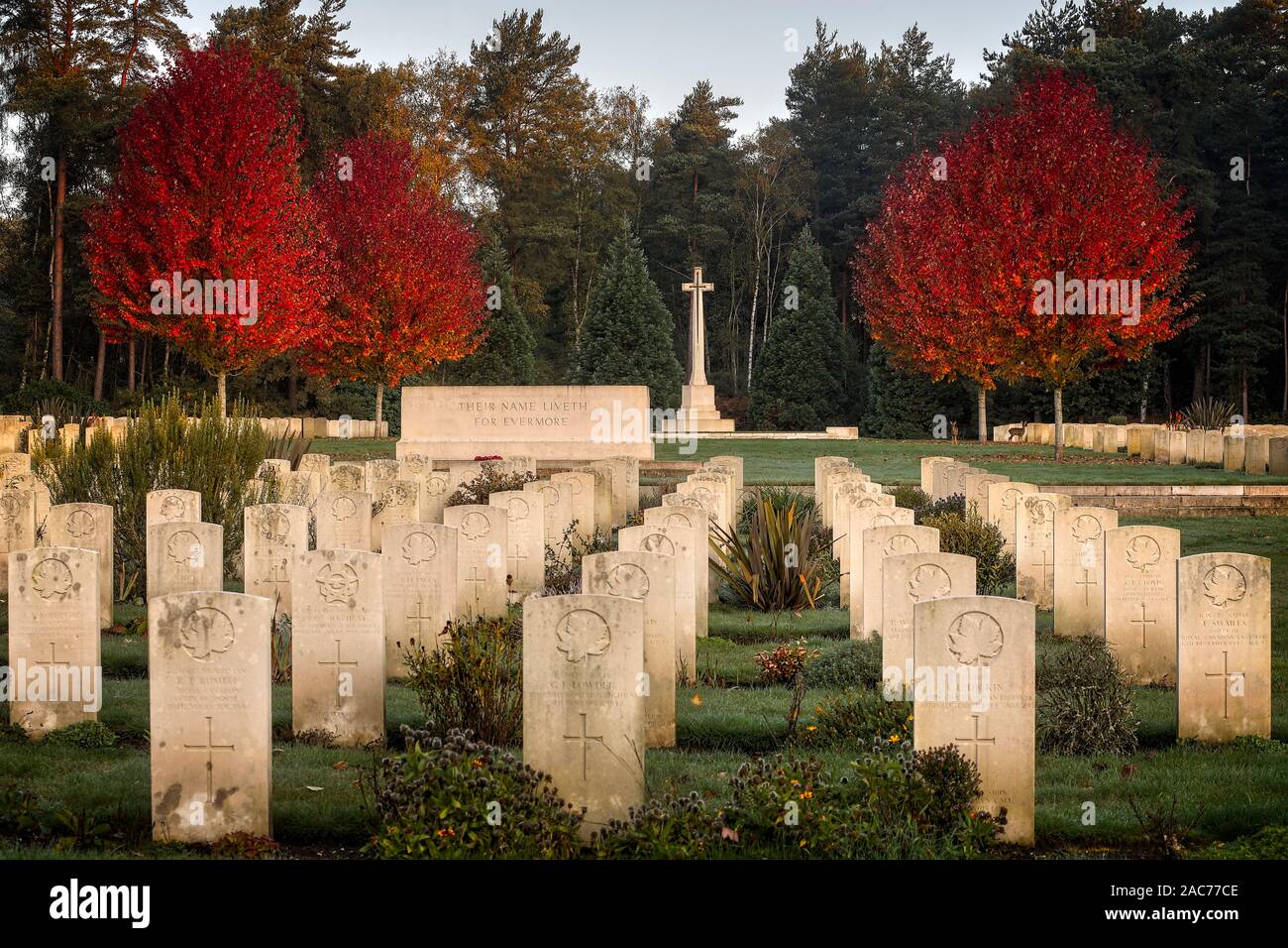 Canadian WW2 Plot at Brookwood Military Cemetery UK Stock Photo