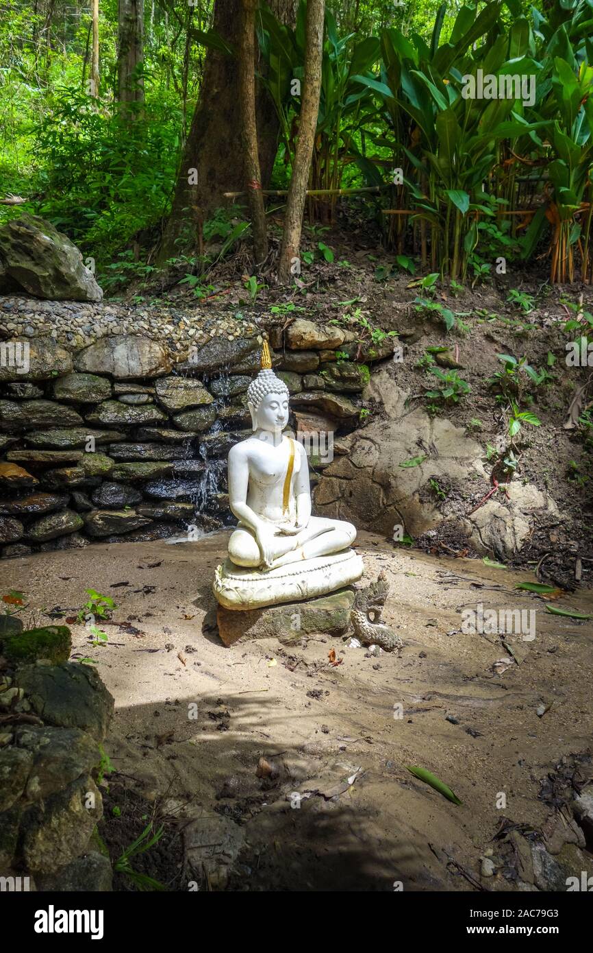 White Buddha statue in jungle, Wat Palad, Chiang Mai, Thailand