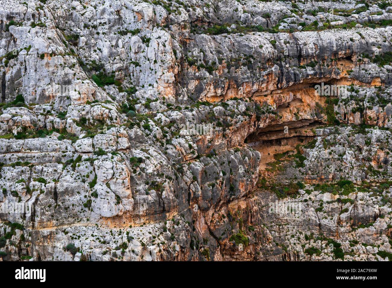 Sea cliff background or texture, south coast of Malta island. Stock Photo