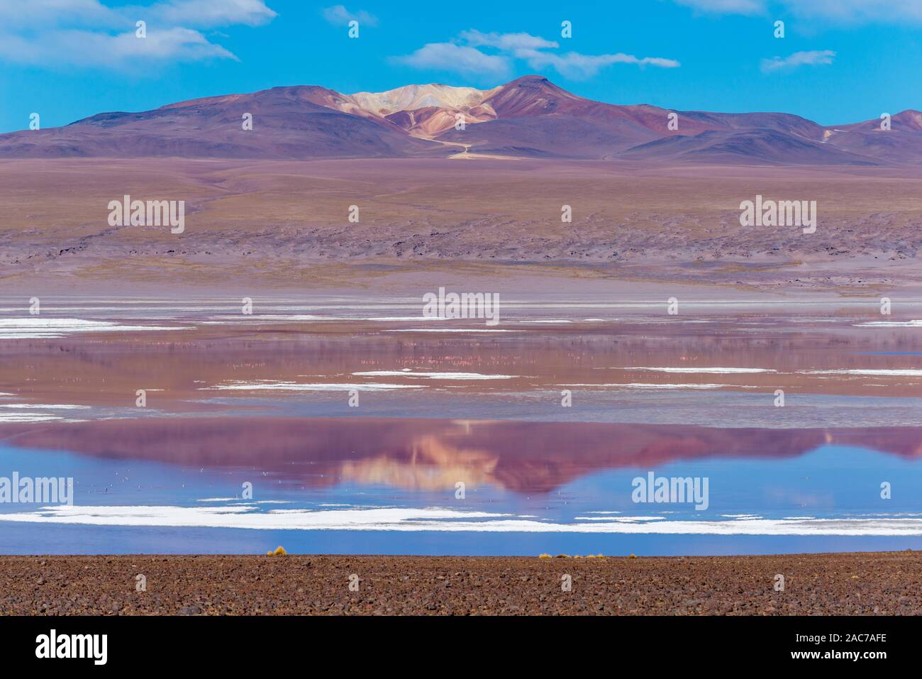 Laguna Colorada, Reserva de Fauna Andina Eduardo Avaroa, southern Altiplano, Department Potosi, Andes Mountains, Southwest Bolivia, Latin America Stock Photo
