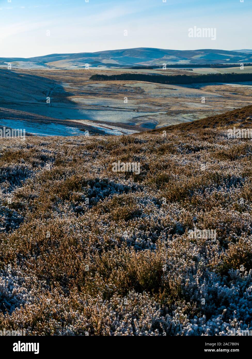 Heather moorland covered in frost with distant view, Lammermuir Hills, East Lothian, Scotland, UK Stock Photo