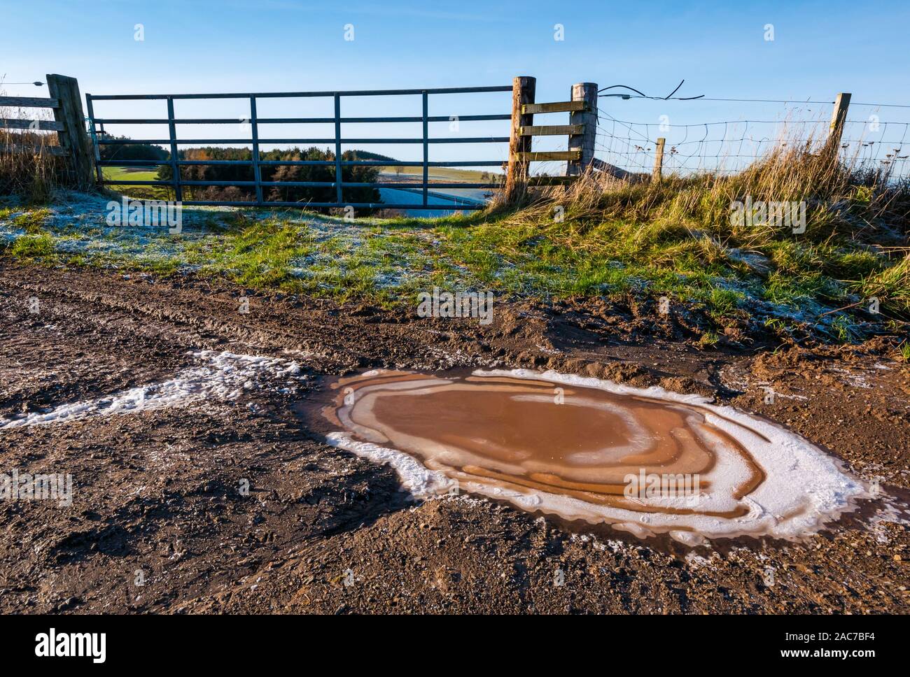 Frozen muddy puddle on farm track with Winter sunshine and gate to field, East Lothian, Scotland, UK Stock Photo