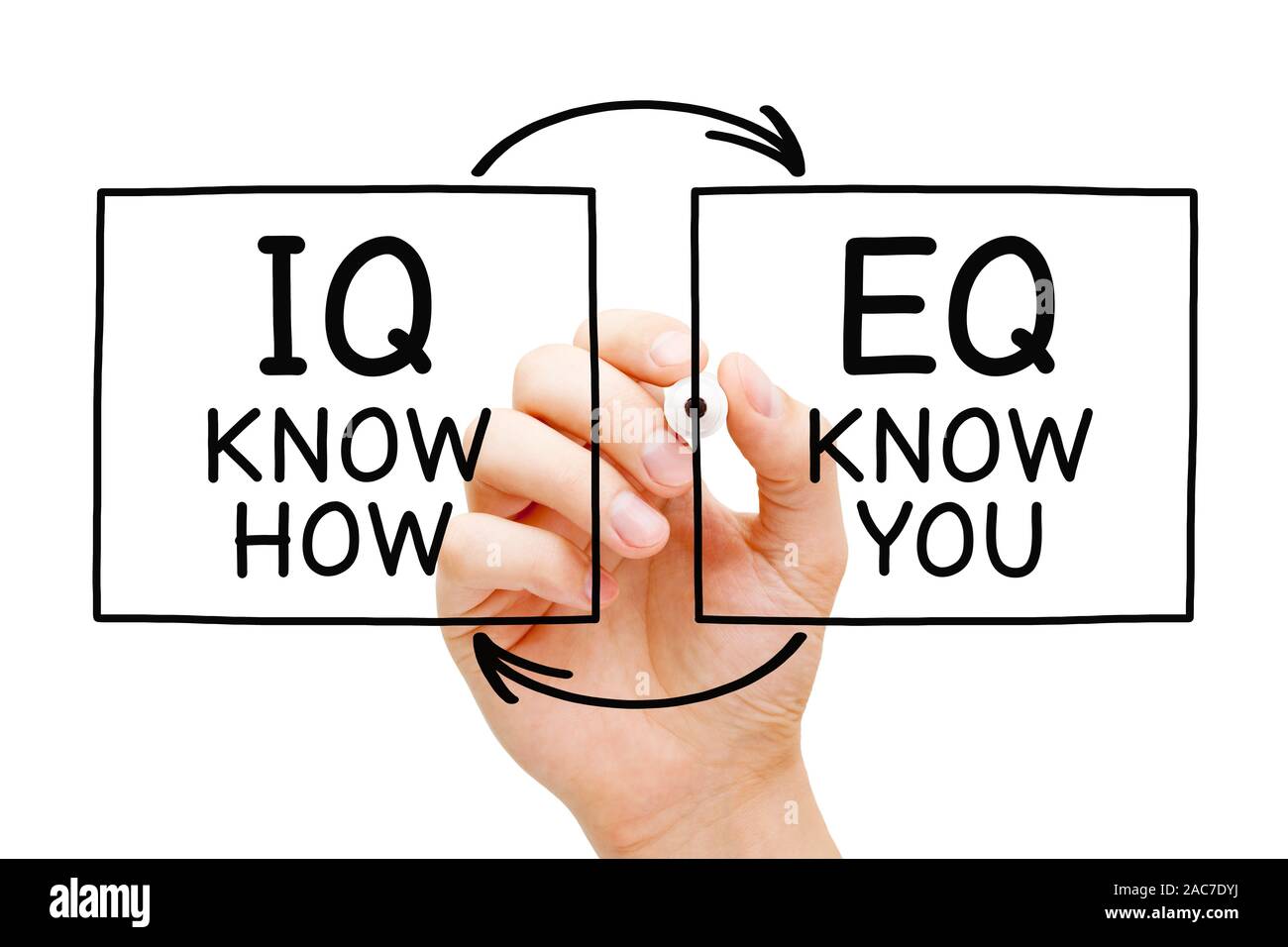 Hand writing IQ Know How and EQ Know You with marker on transparent wipe board isolated on white. Intelligence quotient and Emotional intelligence quo Stock Photo