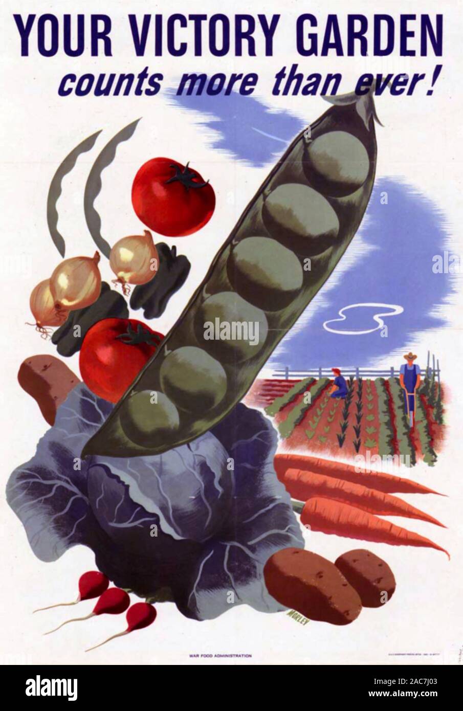 YOUR VICTORY GARDEN  American WW2 propaganda poster urging food production Stock Photo