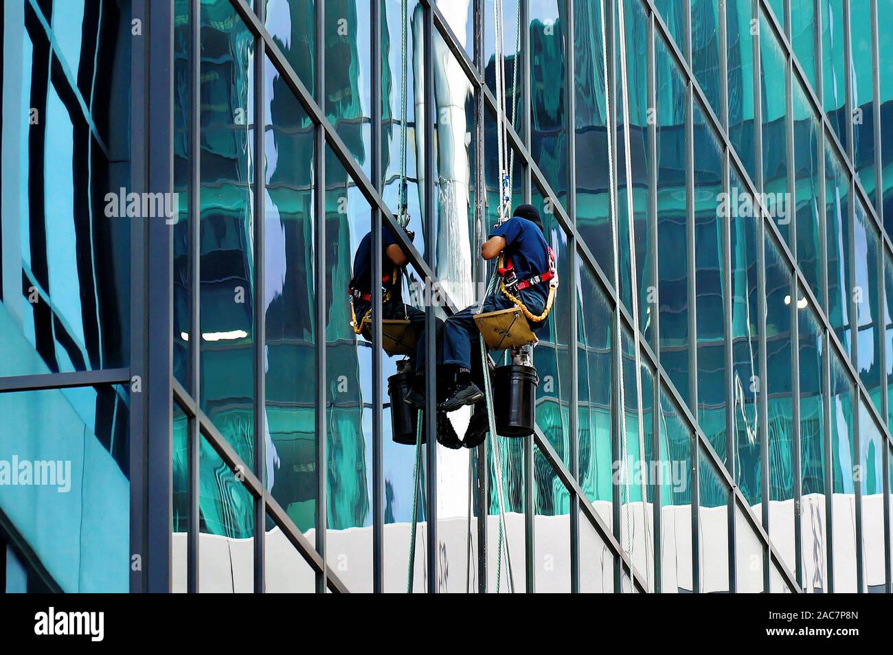 TORONTO, CANADA 06 16 2016 Industrial climber cleaning the glassy