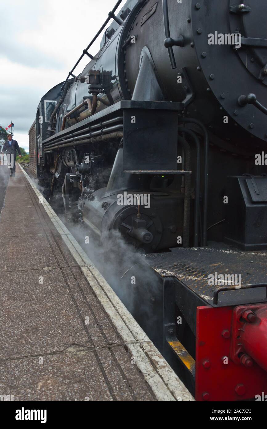 Steam 6046, USATC train at Lydeard Station in