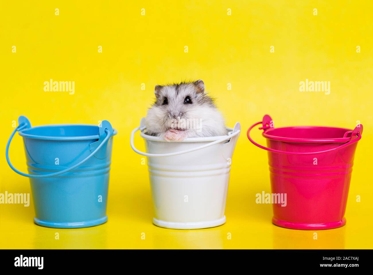 small yellow plastic buckets