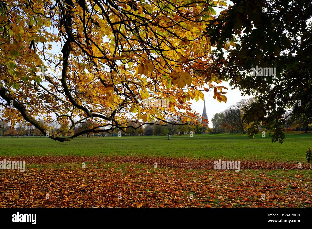 Clissold Park, Stoke Newington, London, United Kingdom Stock Photo