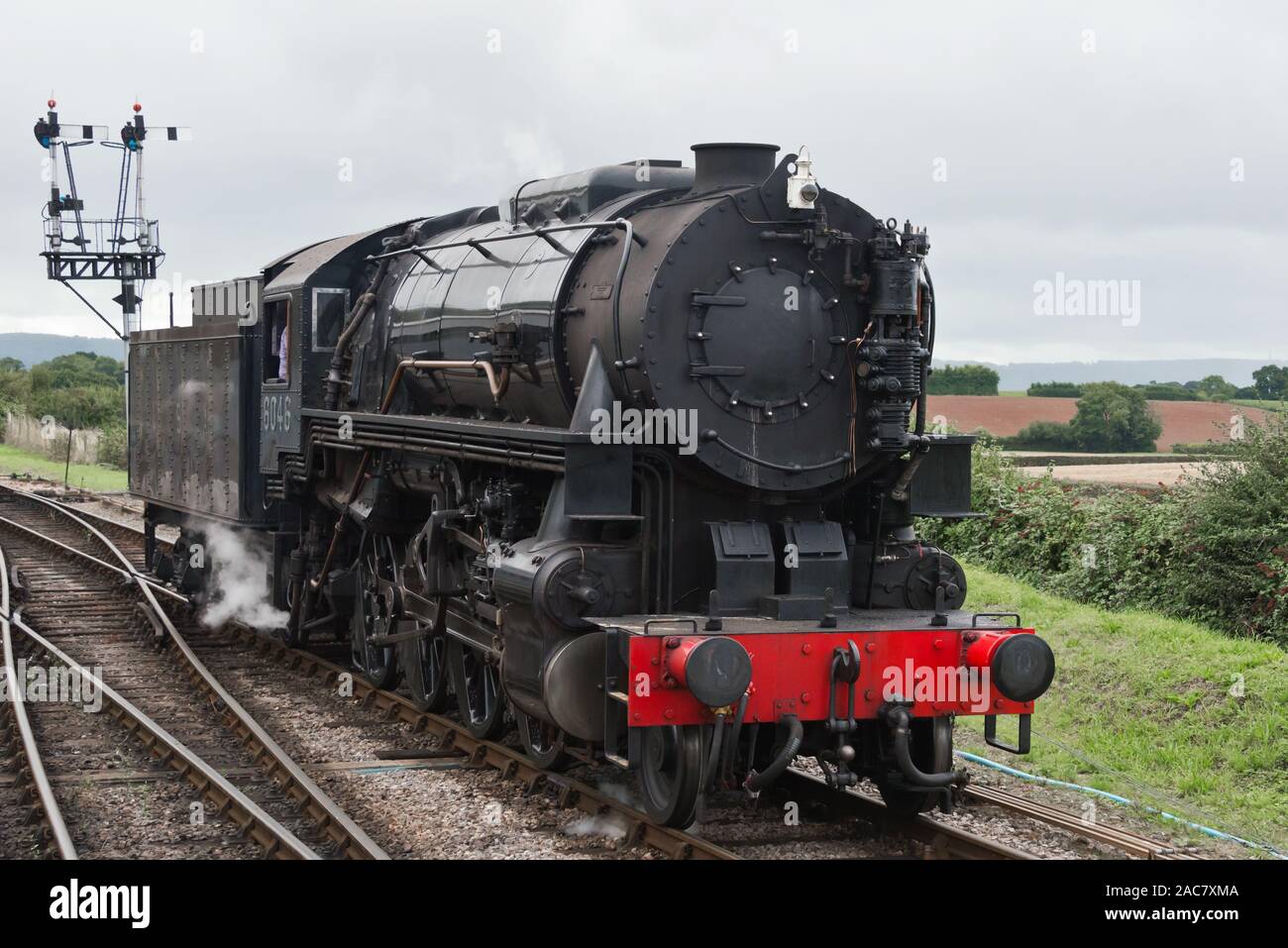 Steam 6046, USATC train at Lydeard Station in