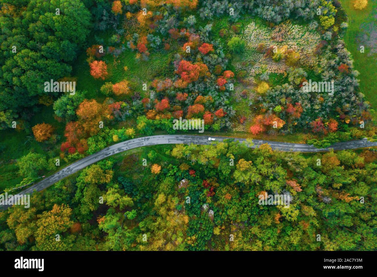 Stunning aerial view of road with cars between colorful autumn forest Stock Photo