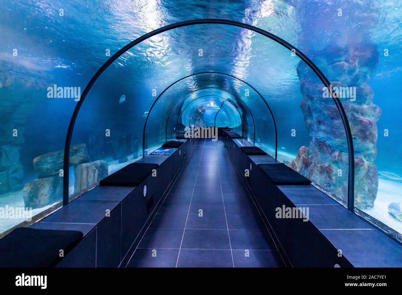 Fish Blue Aquarium underwater tunnel Stock Photo Alamy