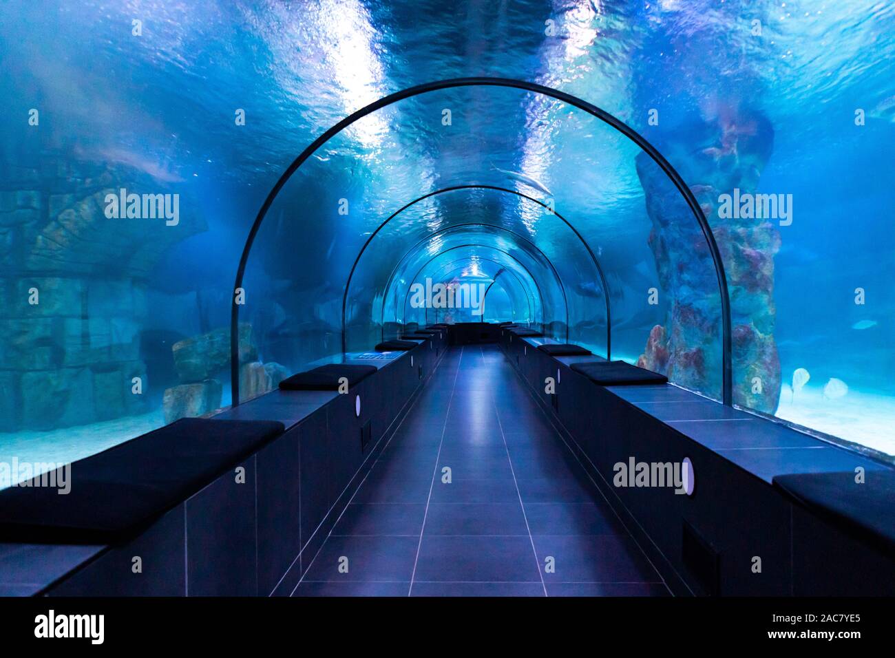 Fish Blue Aquarium underwater tunnel Stock Photo