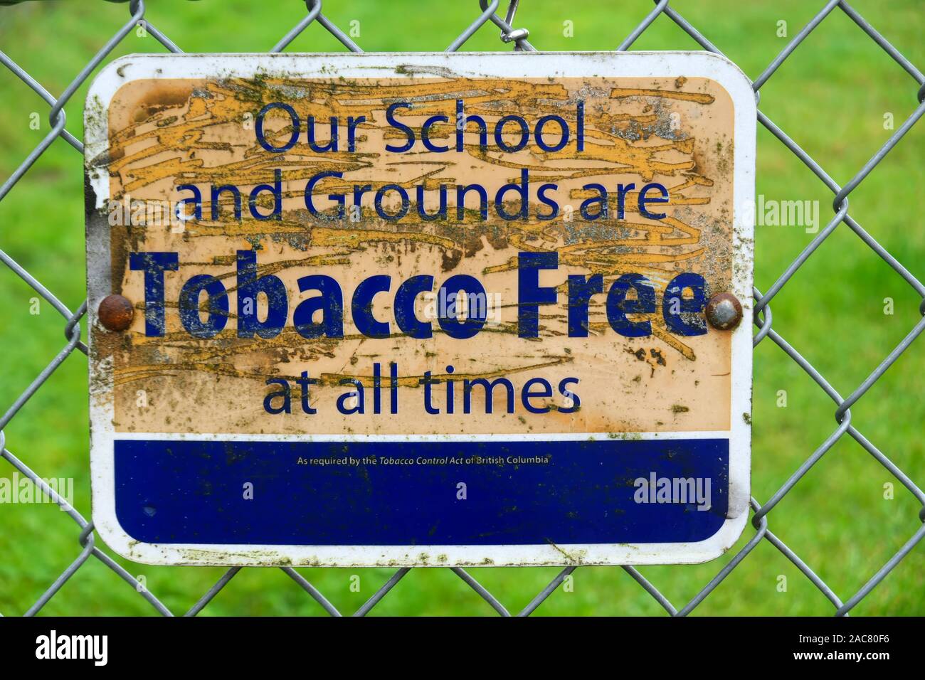 A tobacco free sign on a school chain link fence.   Lower Mainland, British Columbia, Canada Stock Photo