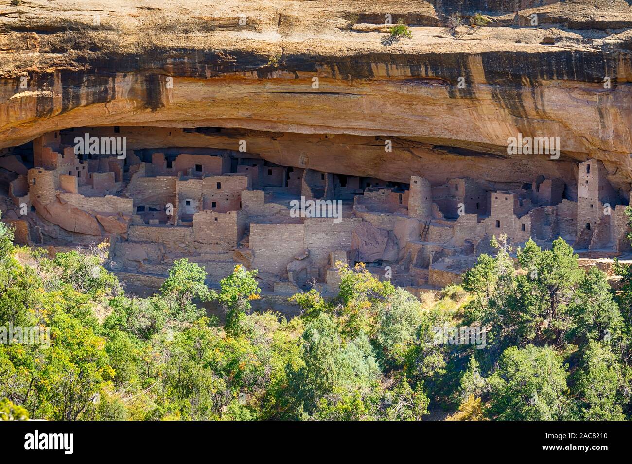 Cliff Palace dwellings in Mesa Verde National Park, Colorado Stock Photo