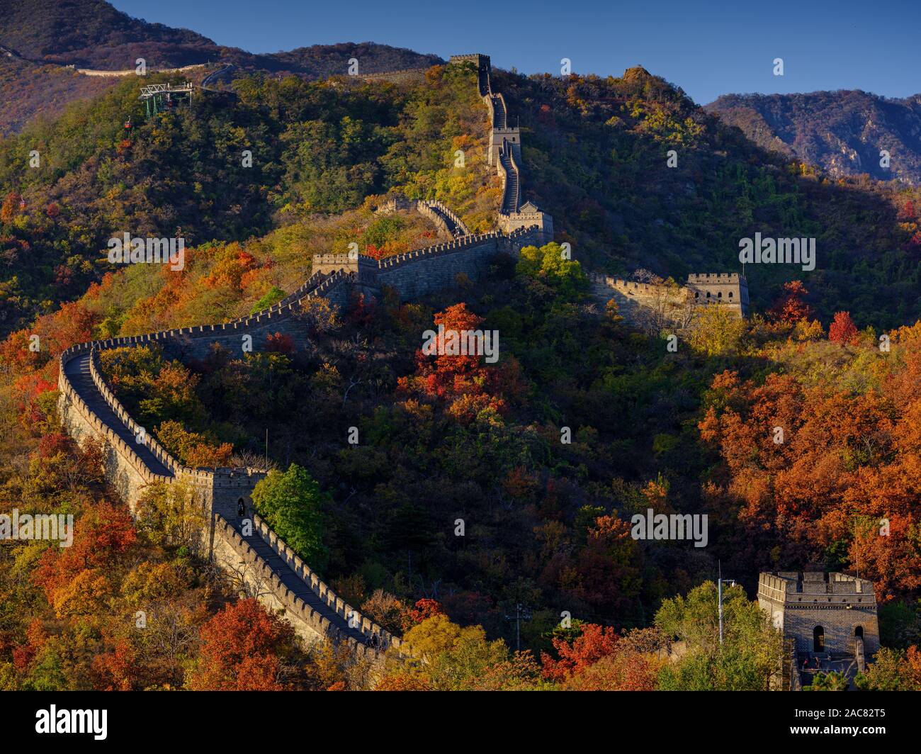The Great Wall of China in autumn with nobody but red trees Stock Photo
