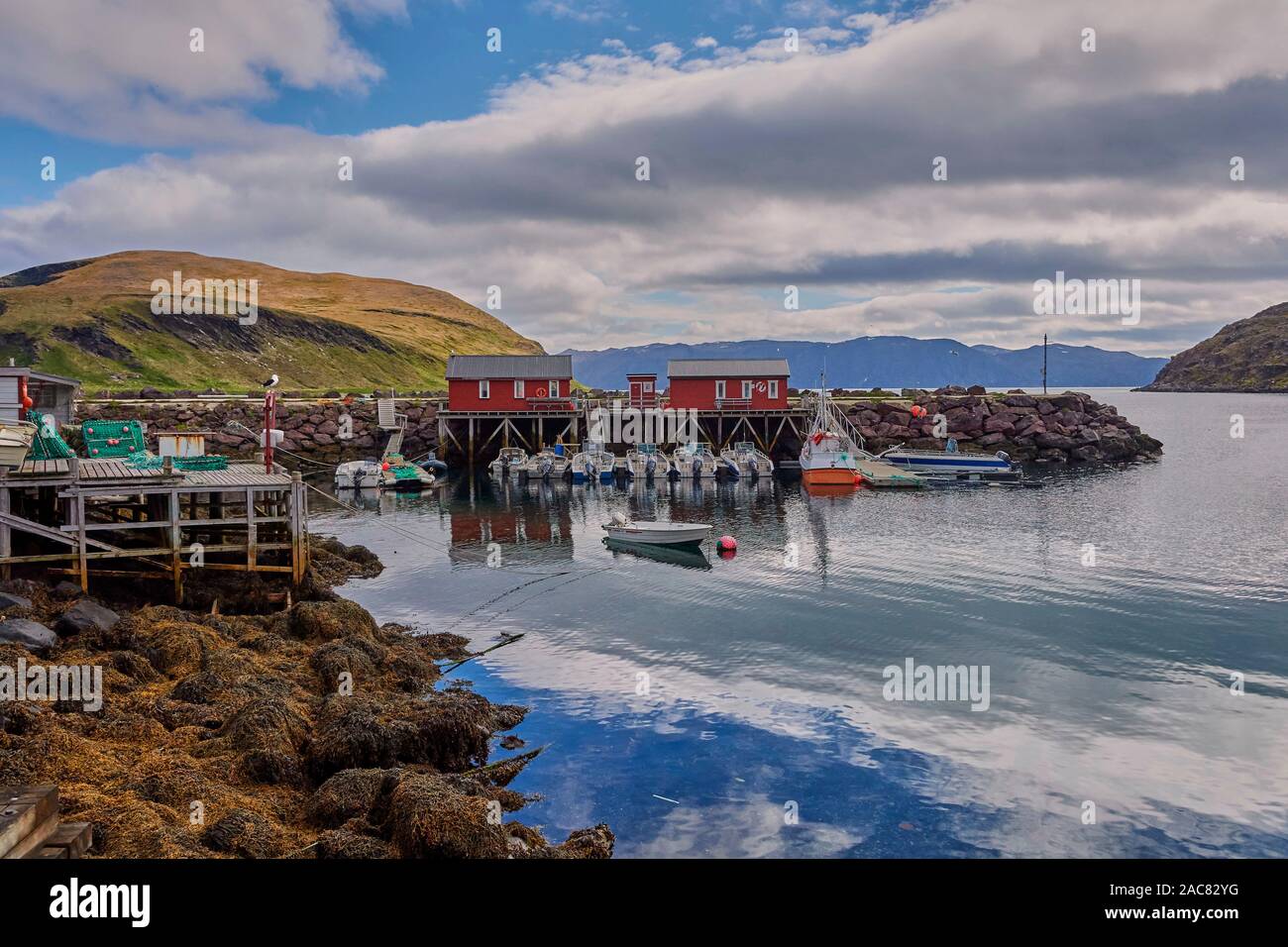Kamoyvær is a fishing village in Nordkapp Municipality in  Norway. The village lies along the Kamoyfjorden on the east side of the island Stock Photo