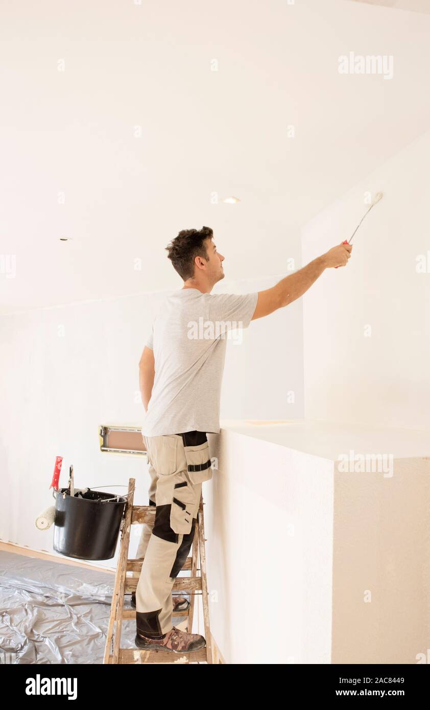 Shot of professional contractors standing on ladder and painting wall while refurbishing the apartment. Stock Photo