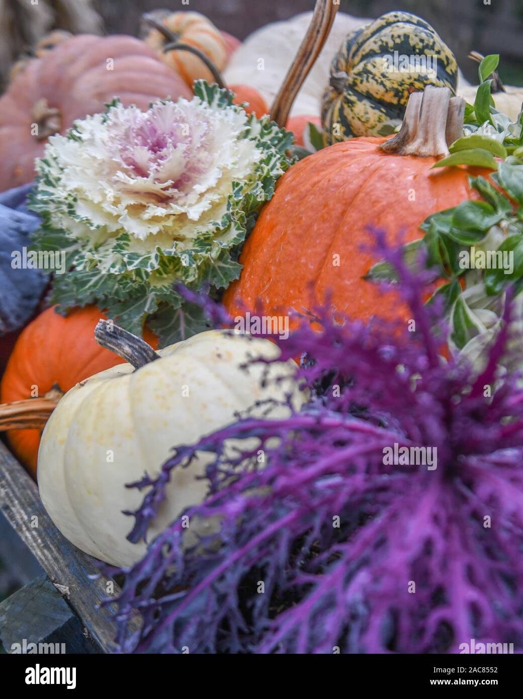 Fall harvest - fall fruits - fall vegetables - fall foods - Thanksgiving cornucopia - apples pears melons squash pumpkins in a Thanksgiving display Stock Photo