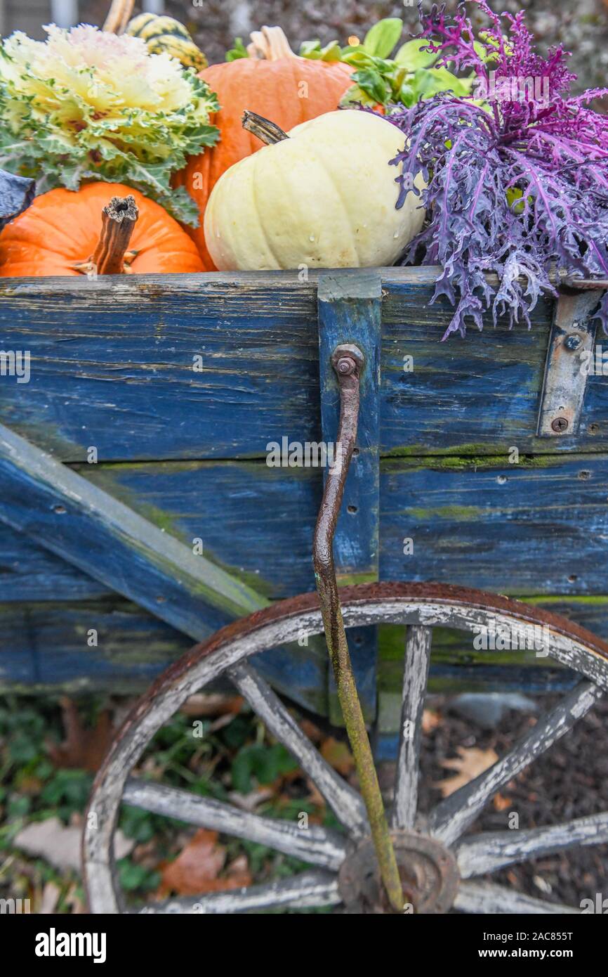 Fall harvest - fall fruits - fall vegetables - fall foods - Thanksgiving cornucopia - apples pears melons squash pumpkins in a Thanksgiving display Stock Photo