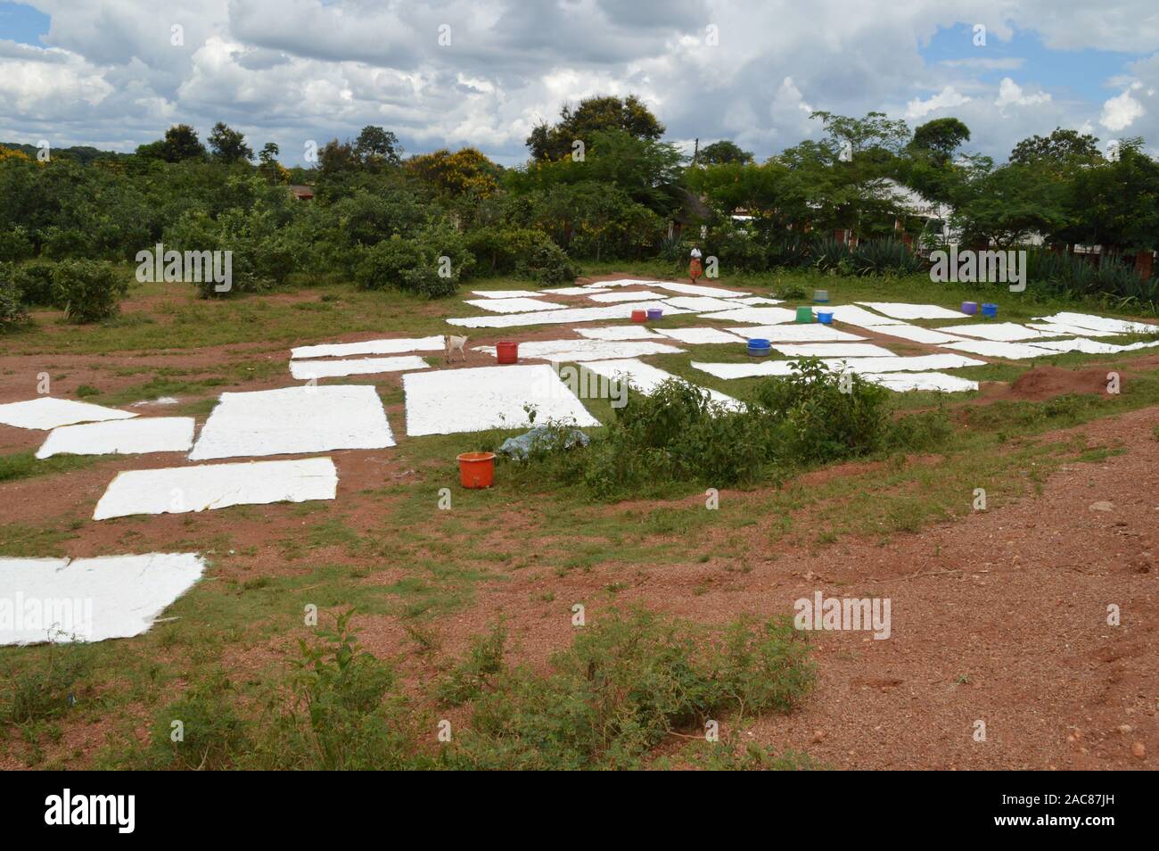 African woman work field hi-res stock photography and images - Alamy