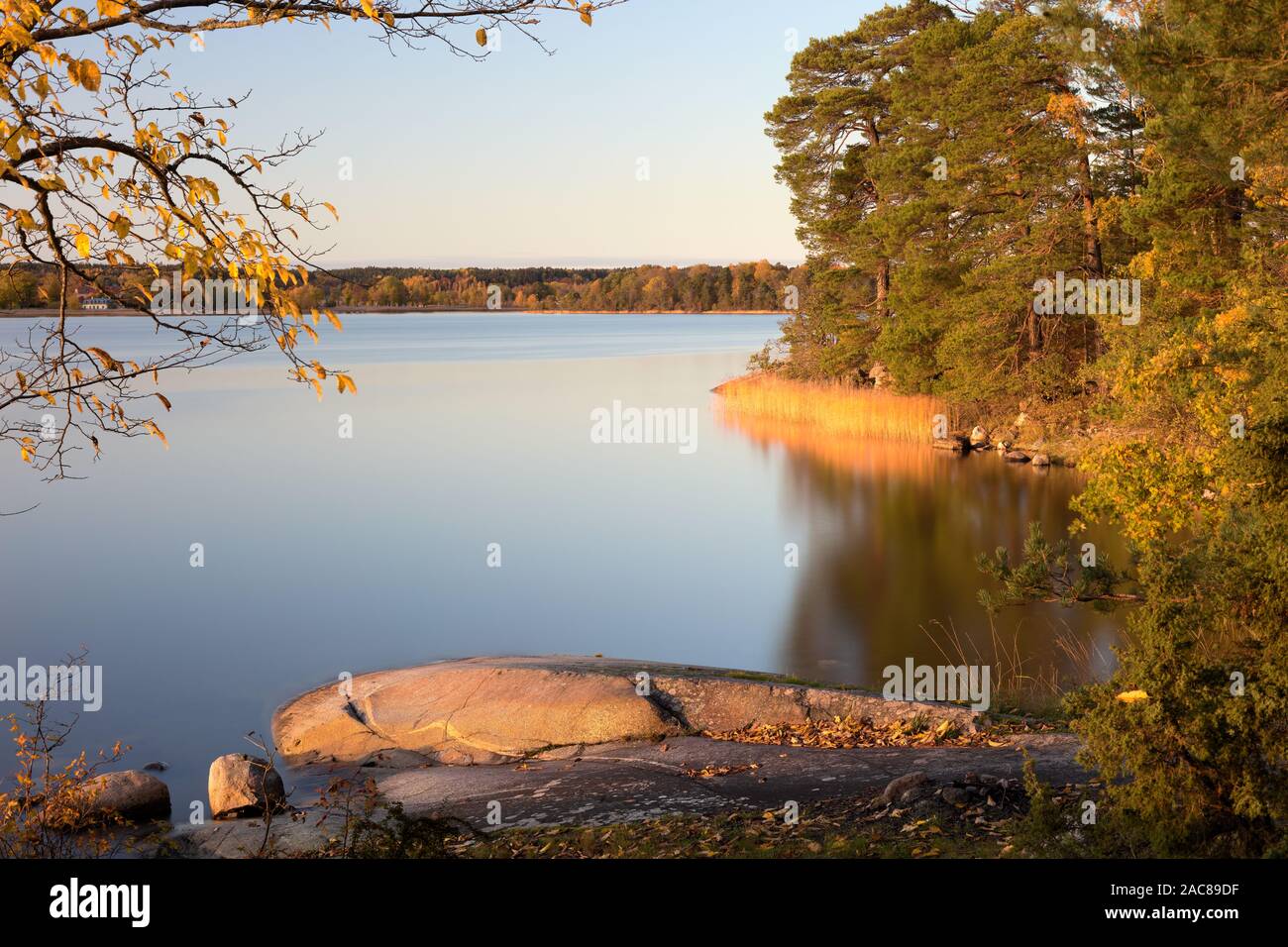 A bay with smooth water on the shore of Bogesundslandet, near Vaxholm, Sweden Stock Photo