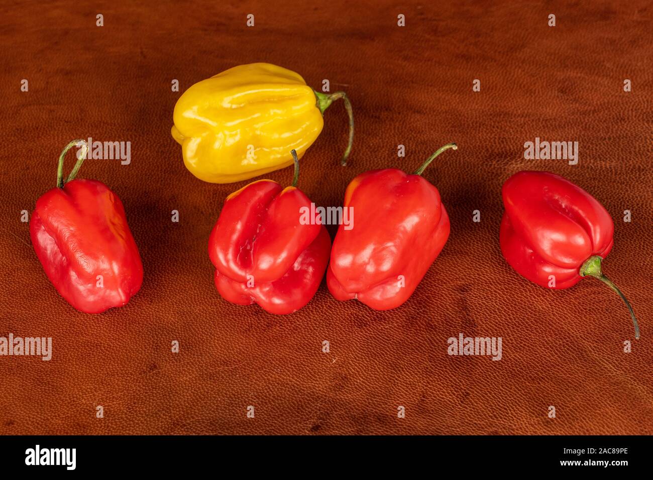 Group of five whole hot chili habanero on cognac leather Stock Photo ... Group of five whole hot chili habanero on cognac leather Stock Photo ...