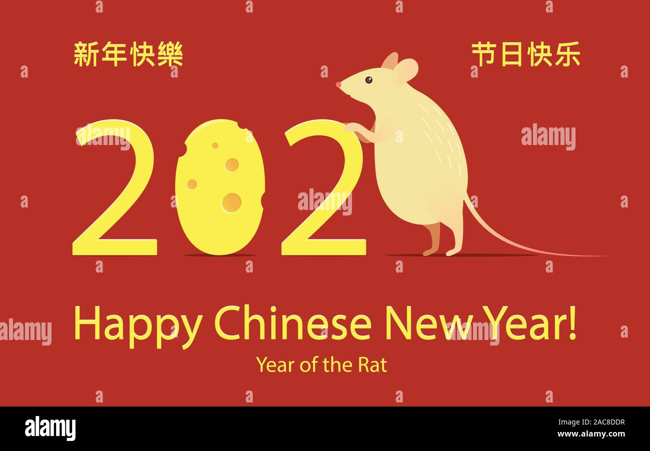 Chinese new year 2020 year of the rat poster, cute and funny cartoonish rat character eating a cheese numbers zero on a red background. Chinese text Stock Vector