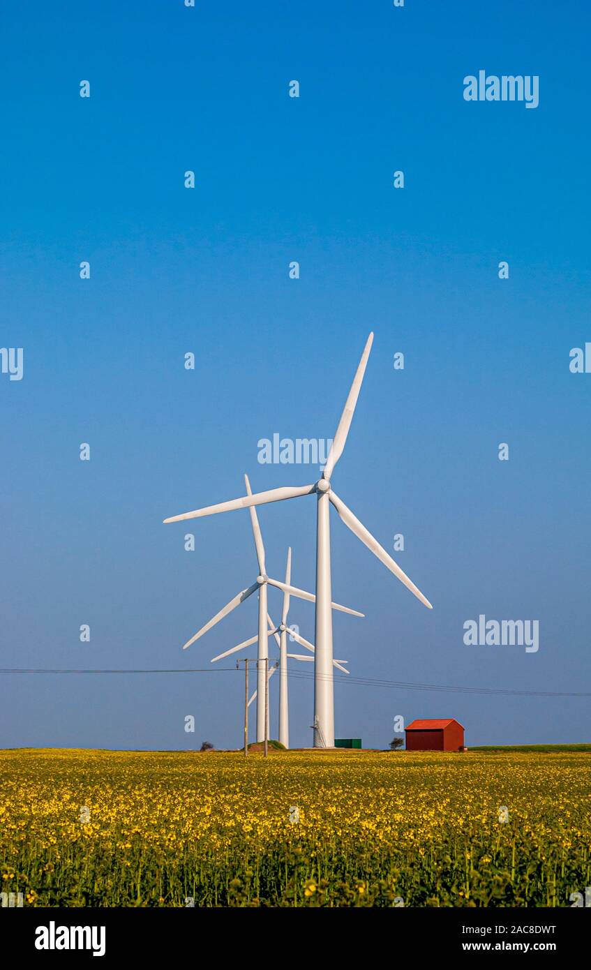 Wind turbines in field generating electricity in a sustainable way Stock Photo