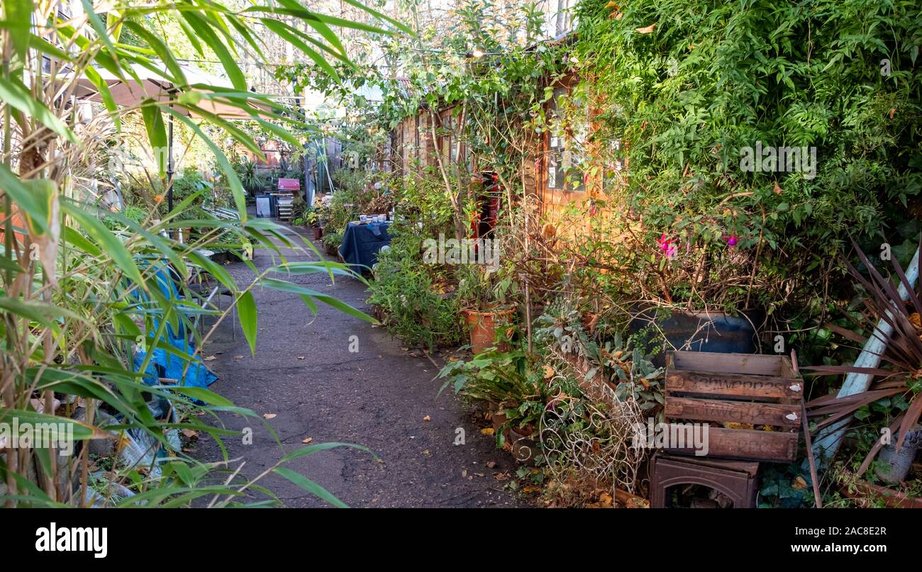 Eel Pie Island, Twickenham, UK, photographed during during open studios