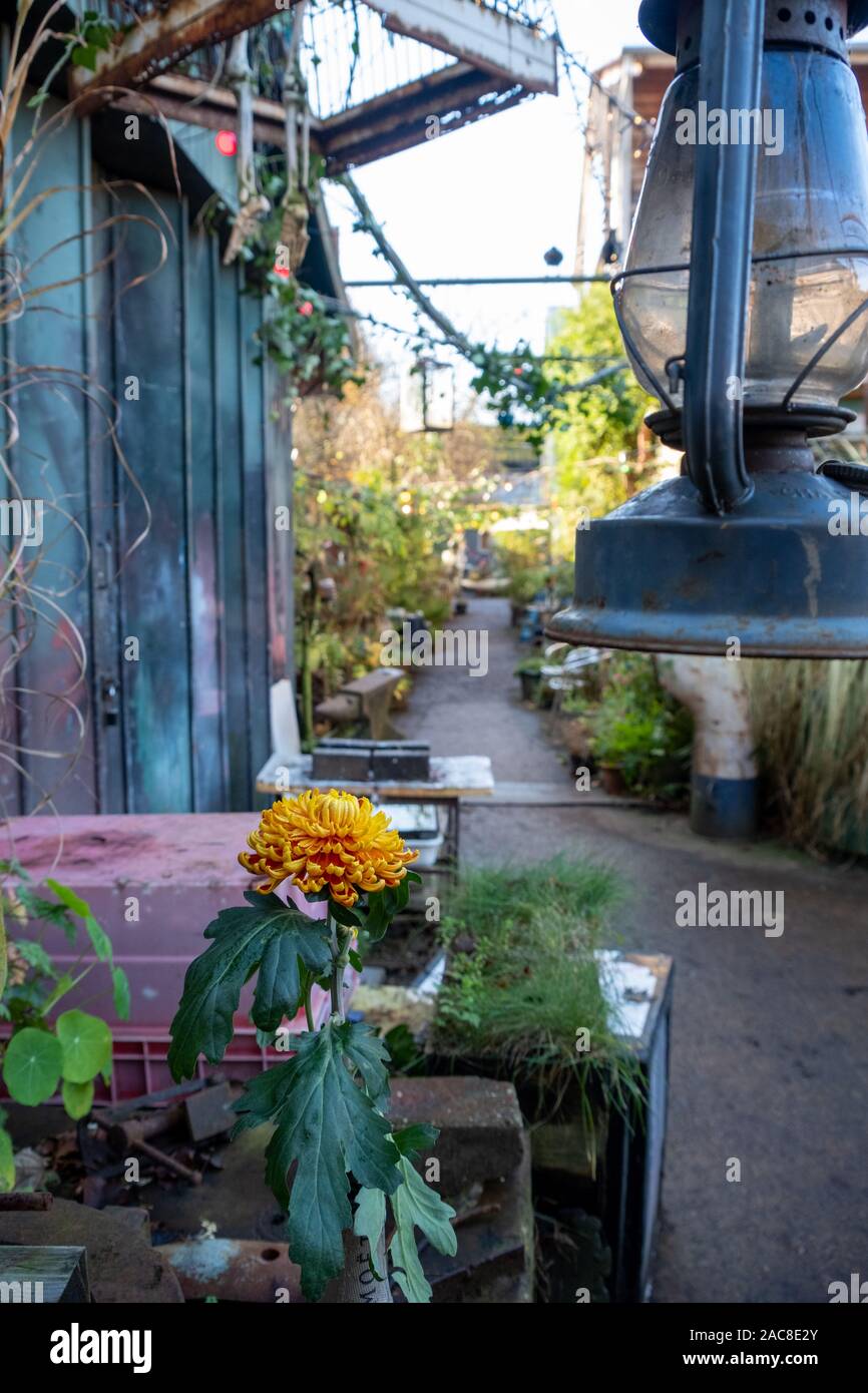 Eel Pie Island, Twickenham, UK, photographed during during open studios