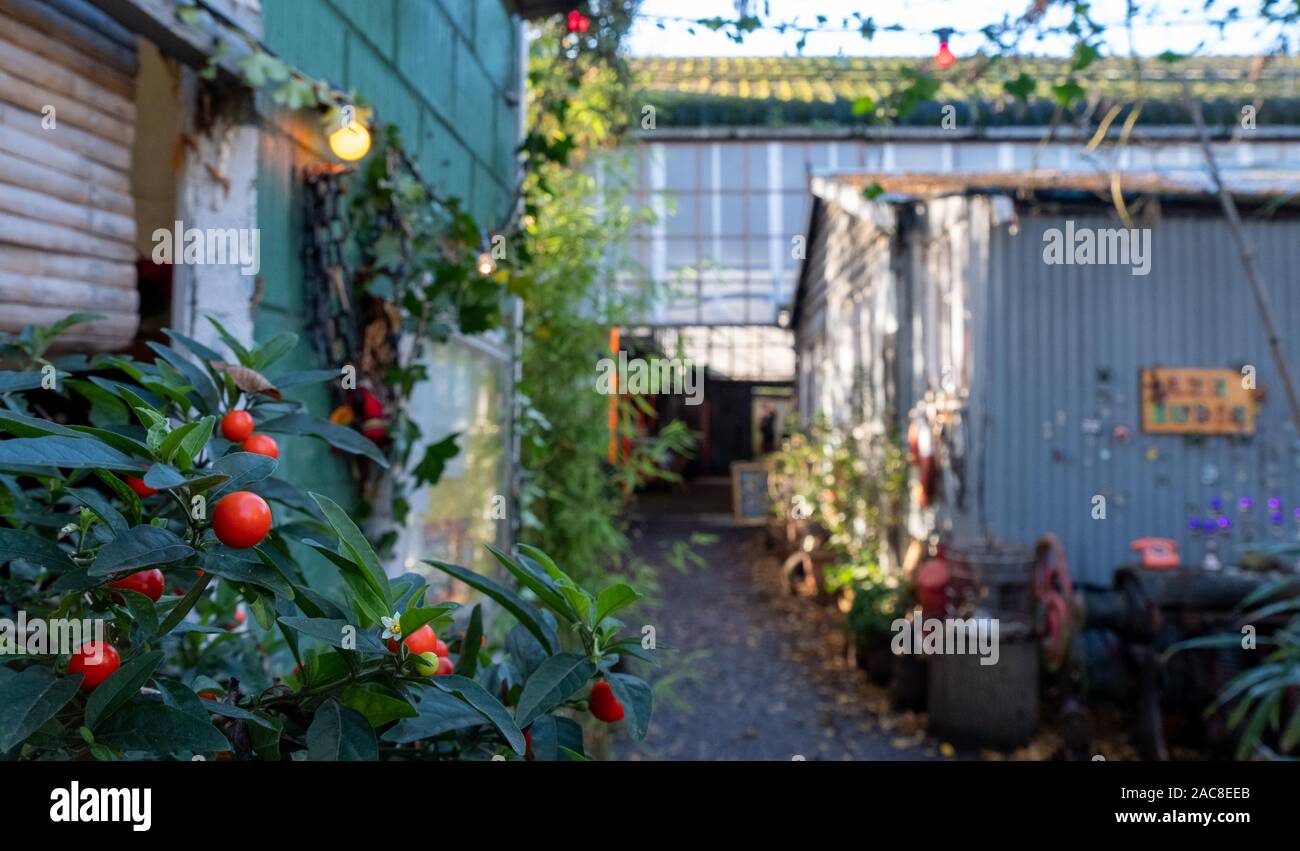Eel Pie Island, Twickenham, UK, photographed during during open studios