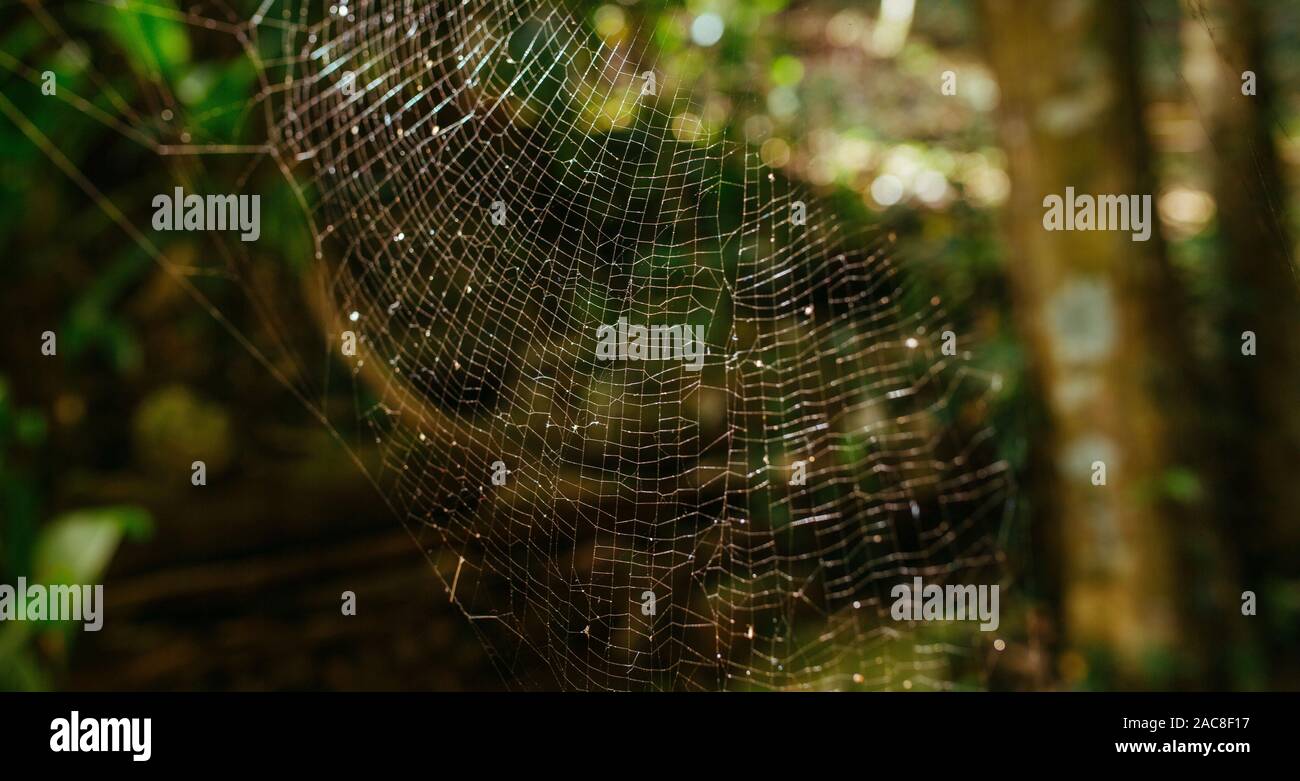 Lost insect in the house hi-res stock photography and images - Alamy