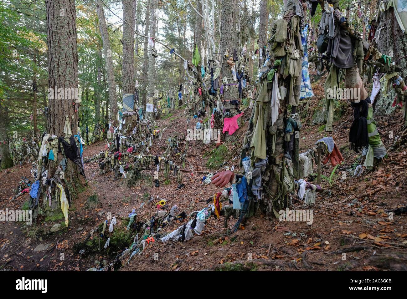 Clooties, or rags, left as offerings at Clootie Well on the Black Isle, Easter Ross, Scotland. Stock Photo