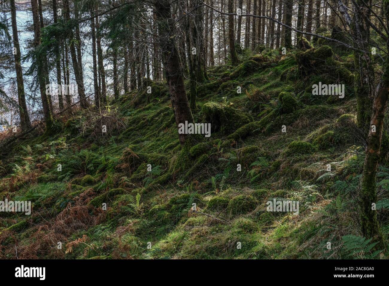 Breakish Breakish High Resolution Stock Photography and Images - Alamy