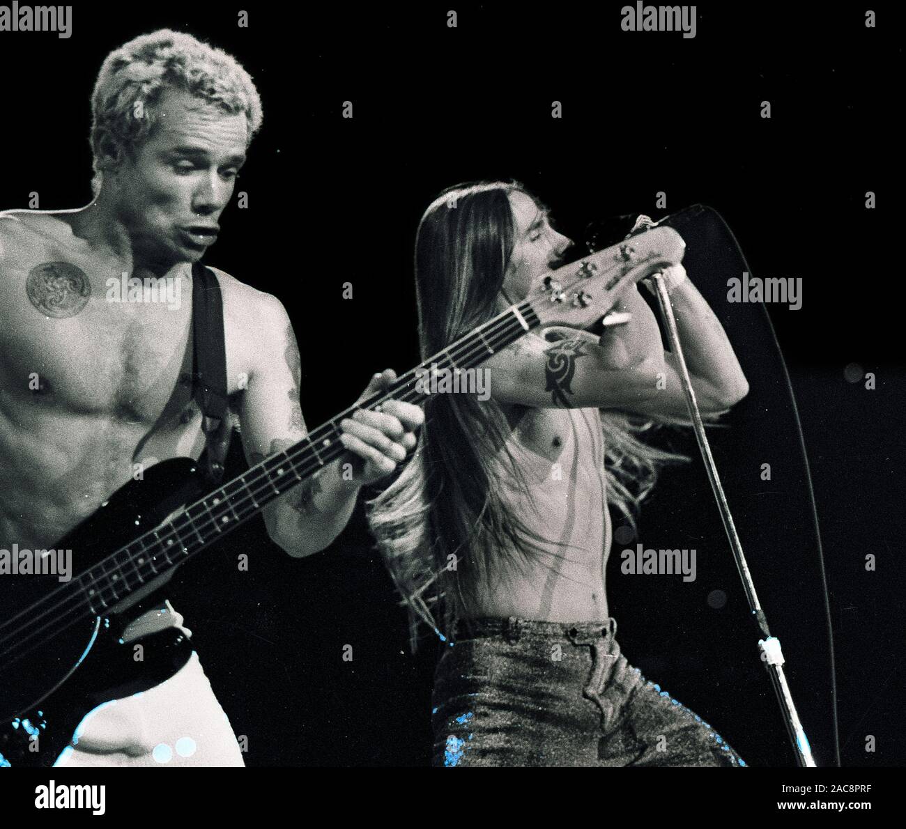 Red Hot Chilli Peppers Flea (left) and Anthony Kiedis playing in concert at Great Woods in Mansfield Ma USA  1992 photo by bill belknap Stock Photo