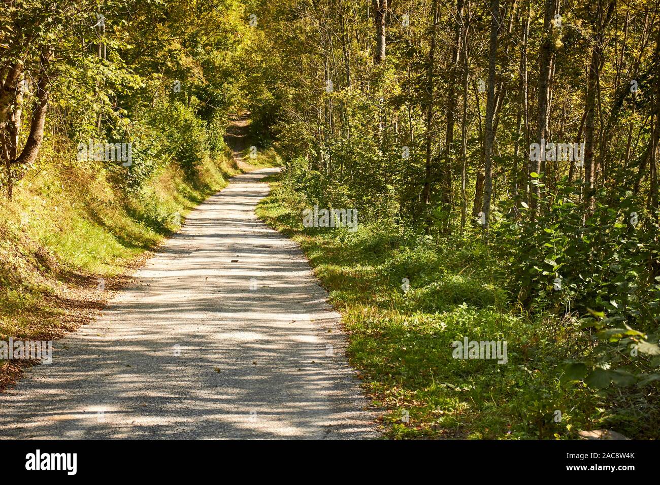 A country road near Entracque, Cuneo, Piedmont, Italy Stock Photo