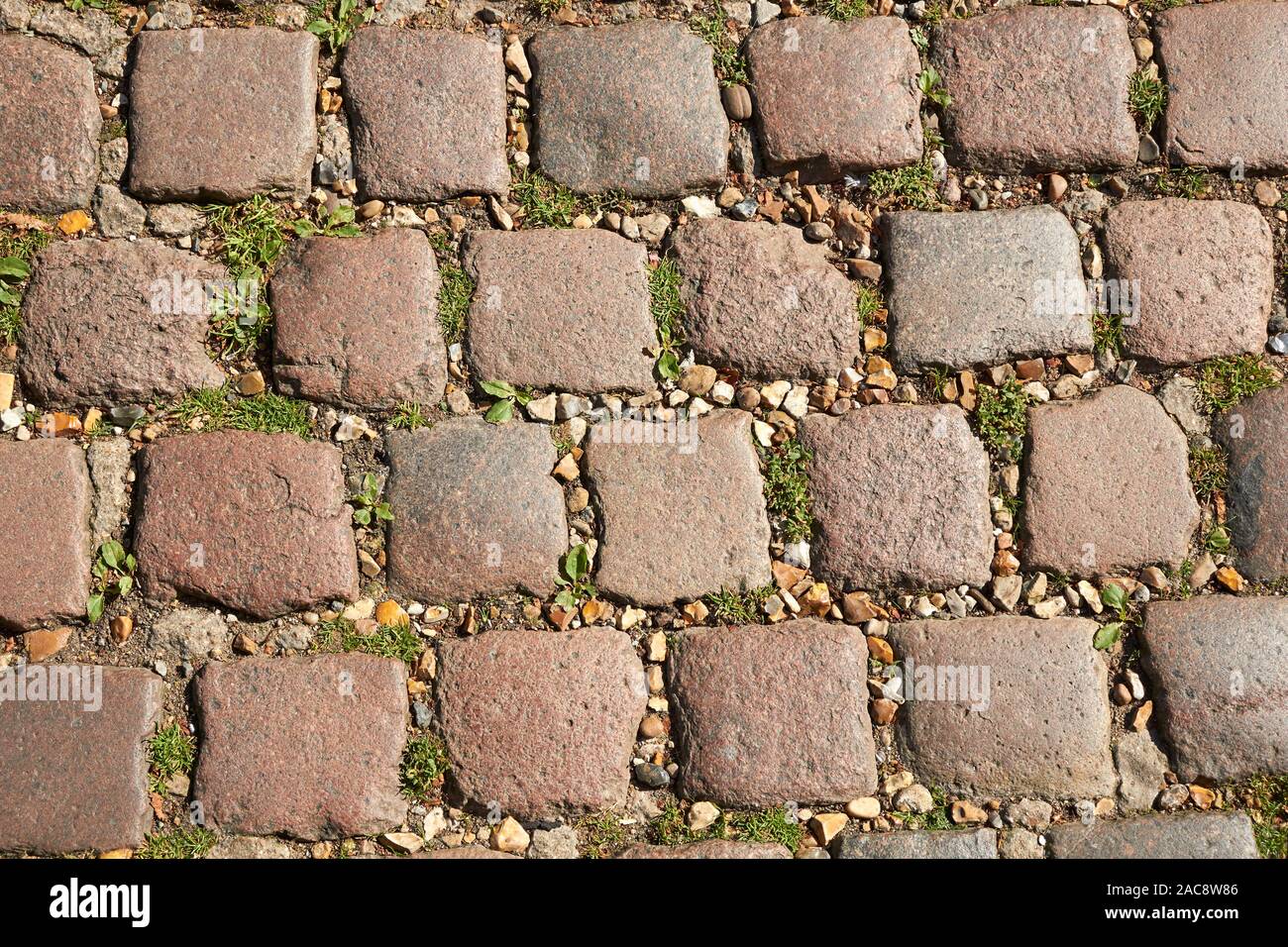 Paving bricks, Cambridge, England Stock Photo