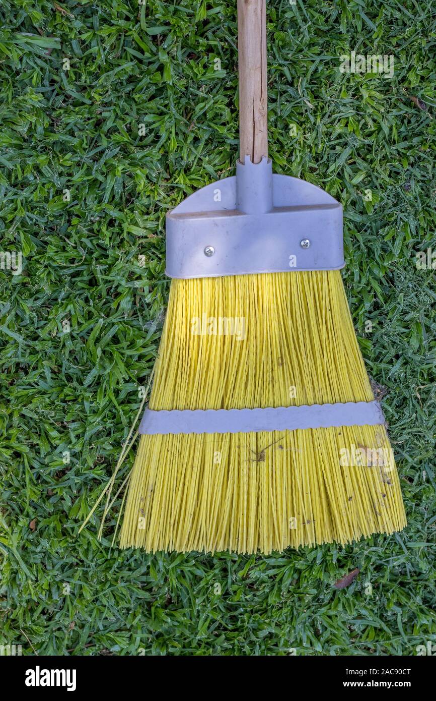 Yellow Broom High Resolution Stock Photography and Images Alamy