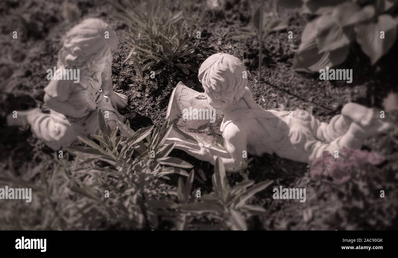 Kids community garden hi-res stock photography and images - Alamy