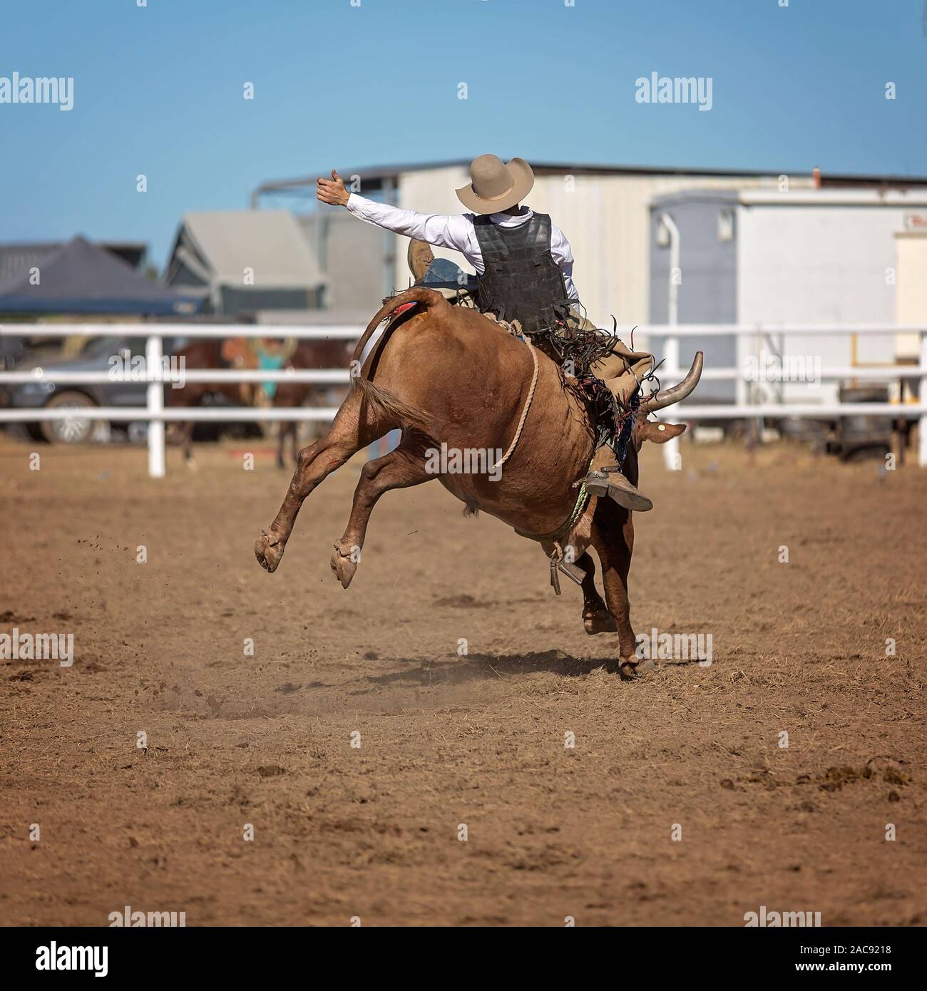 Cowboy riding a bucking bull in a competition at a country rodeo Stock Photo