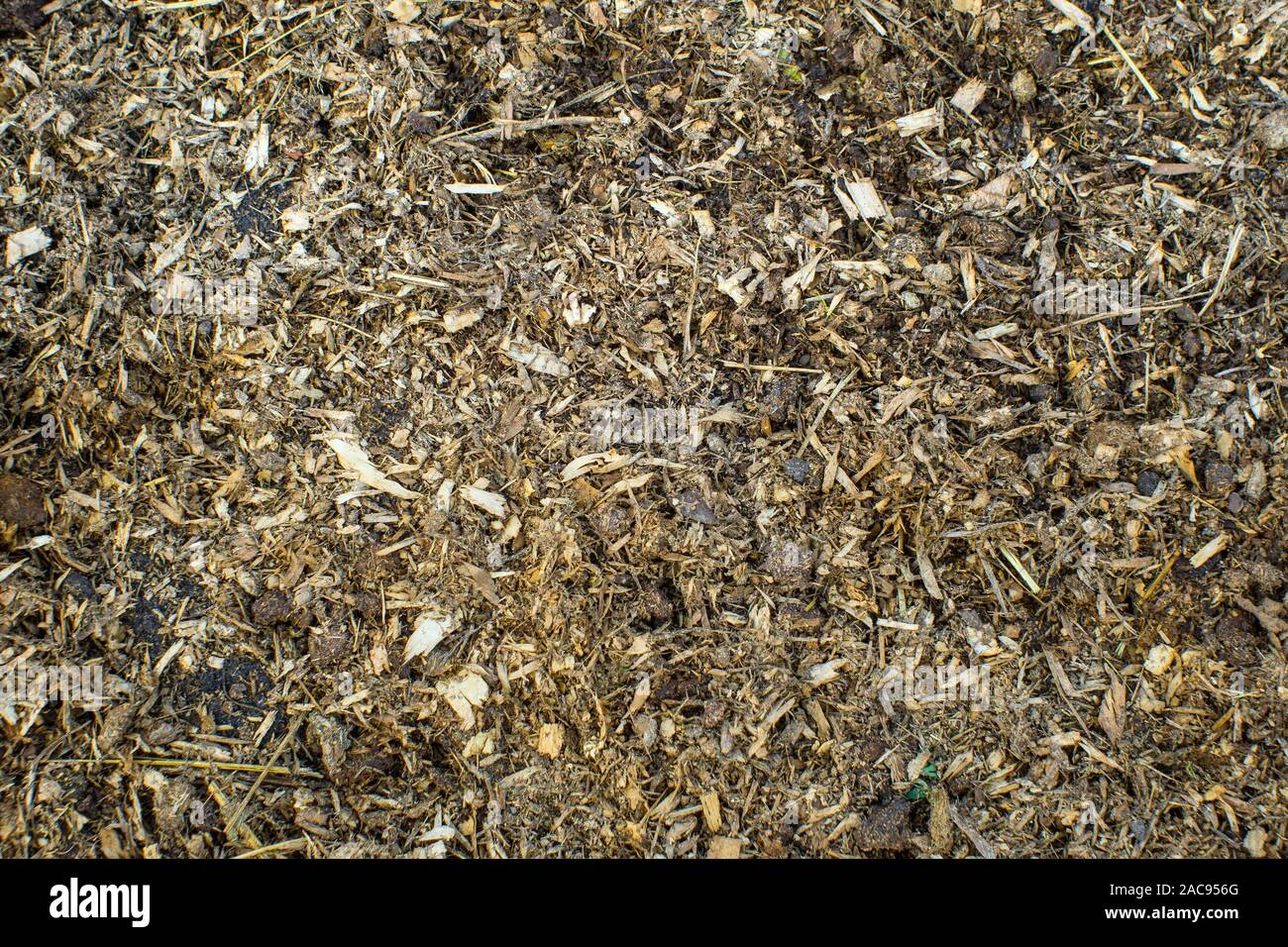 Manure, sawdust, dry leaves, nutrient in the soil for cultivation Stock
